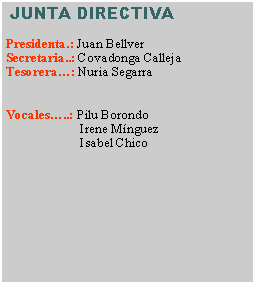Cuadro de texto:  JUNTA DIRECTIVAPresidenta.: Juan BellverSecretaria..: Covadonga CallejaTesorera: Nuria SegarraVocales..: Pilu Borondo	        Irene Mnguez	        Isabel Chico	                              